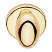 Elliptical brass knob on brass round rosette